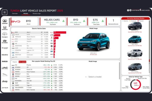 Power BI secteur Automobile